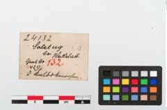 Etikett zu Tierknochen (NHMW-PRAE-024132)